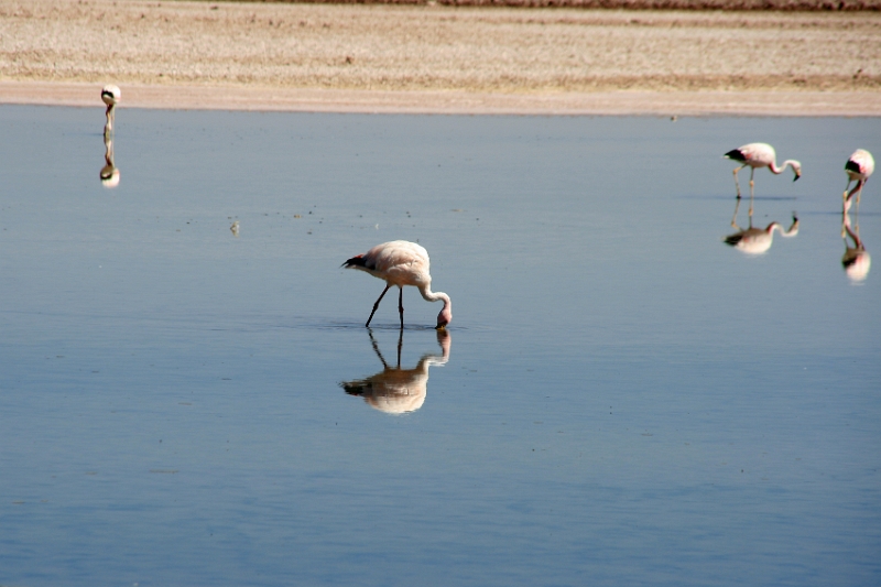 23_laguna_minique_019.jpg