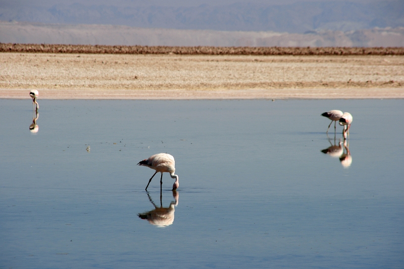 23_laguna_minique_020.jpg