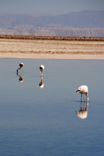 23_laguna_minique_022.jpg