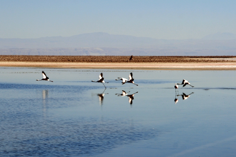 23_laguna_minique_027.jpg