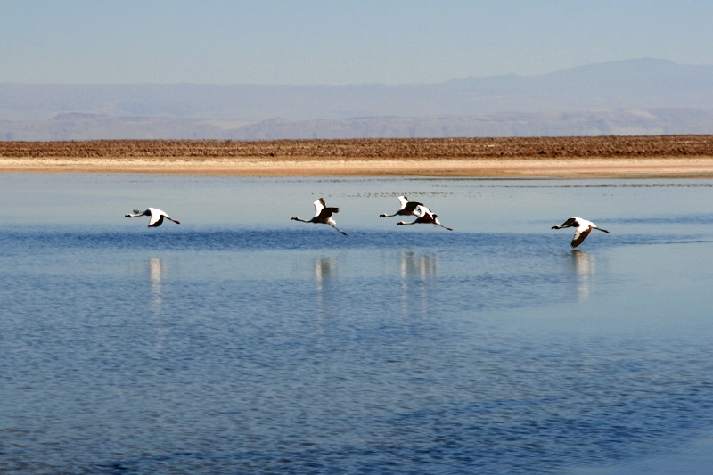 23_laguna_minique_028.jpg