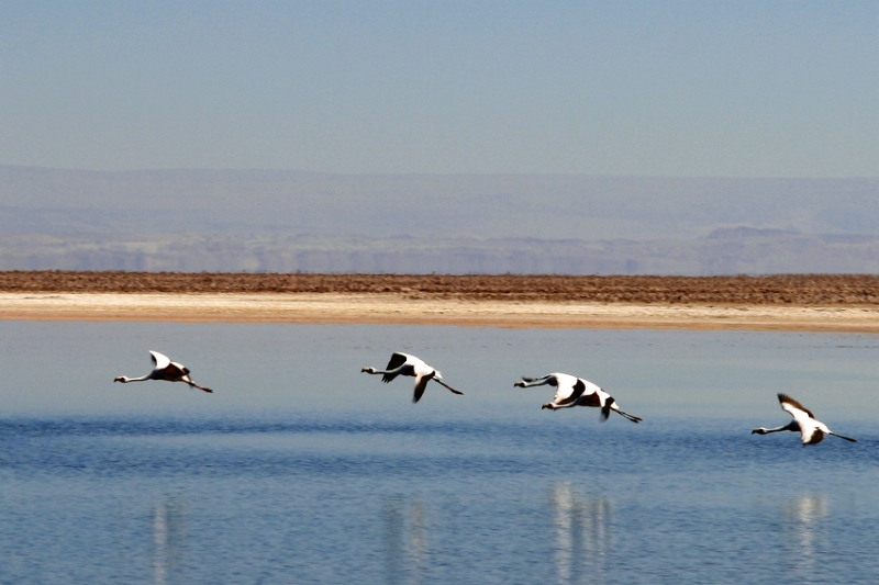23_laguna_minique_029.jpg
