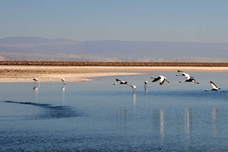 23_laguna_minique_030.jpg