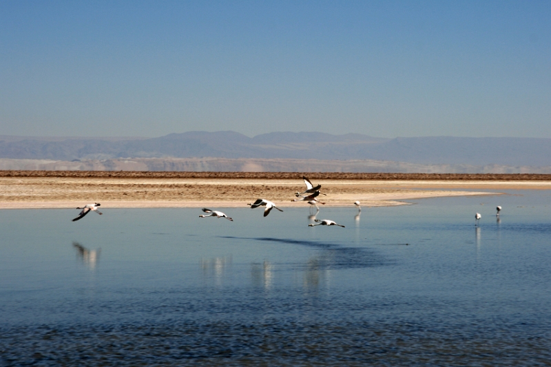 23_laguna_minique_031.jpg