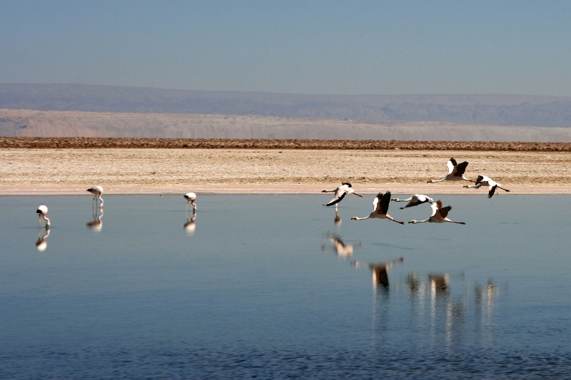 23_laguna_minique_032.jpg
