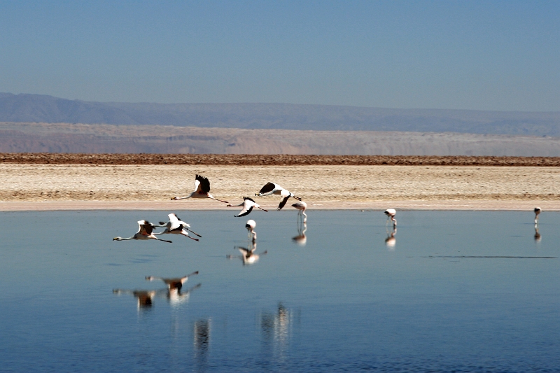 23_laguna_minique_033.jpg