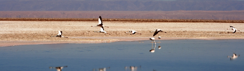 23_laguna_minique_035.jpg