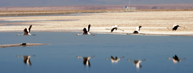 23_laguna_minique_036.jpg