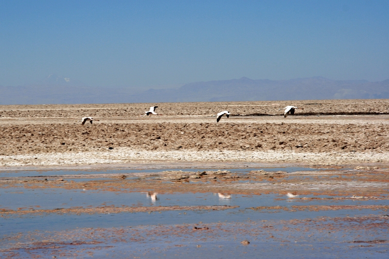 23_laguna_minique_037.jpg