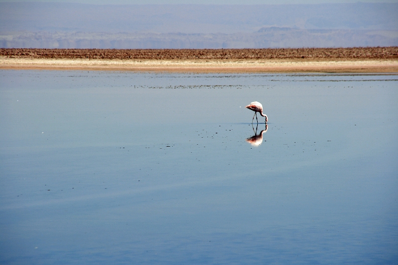 23_laguna_minique_041.jpg