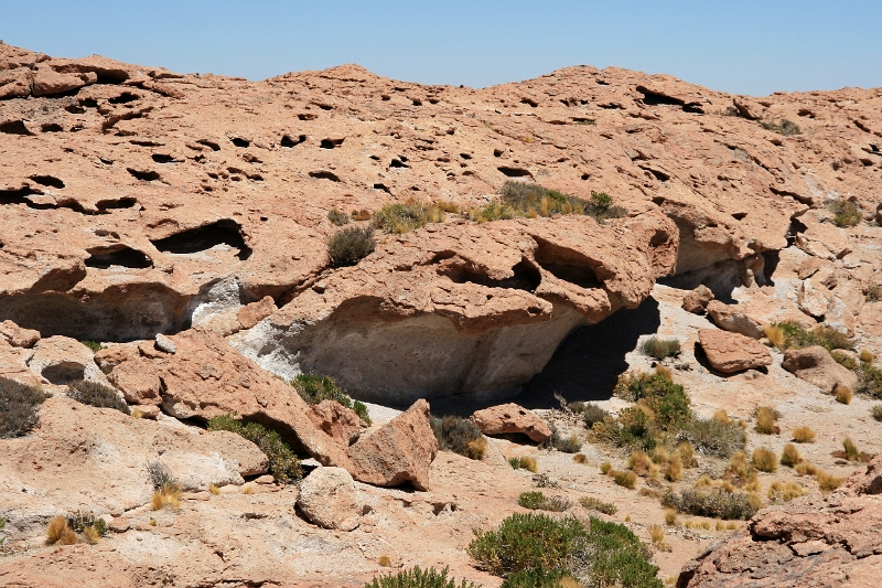 23_laguna_minique_073.jpg
