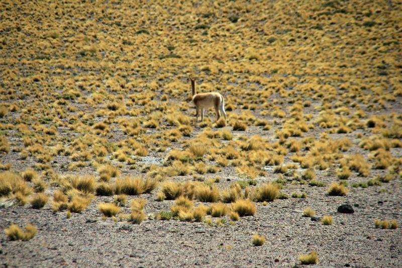 23_laguna_minique_094.jpg