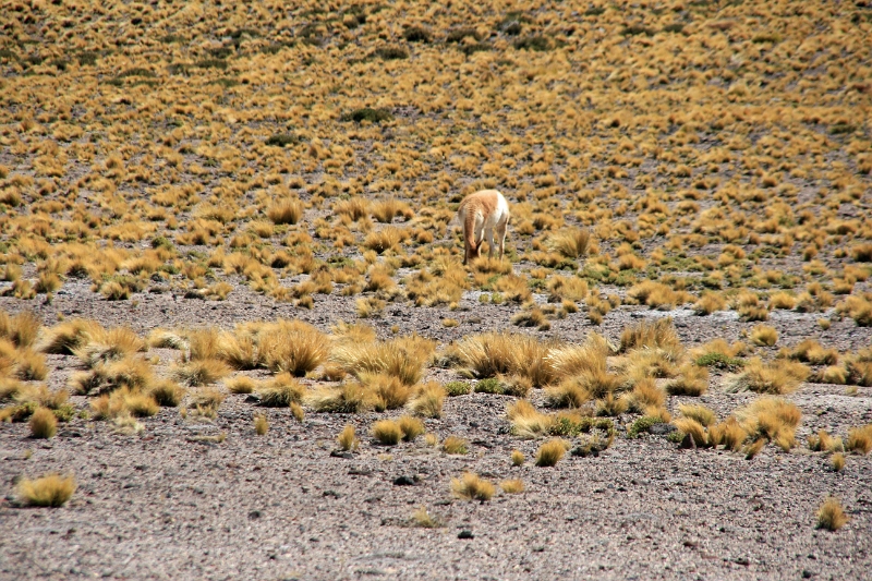 23_laguna_minique_096.jpg