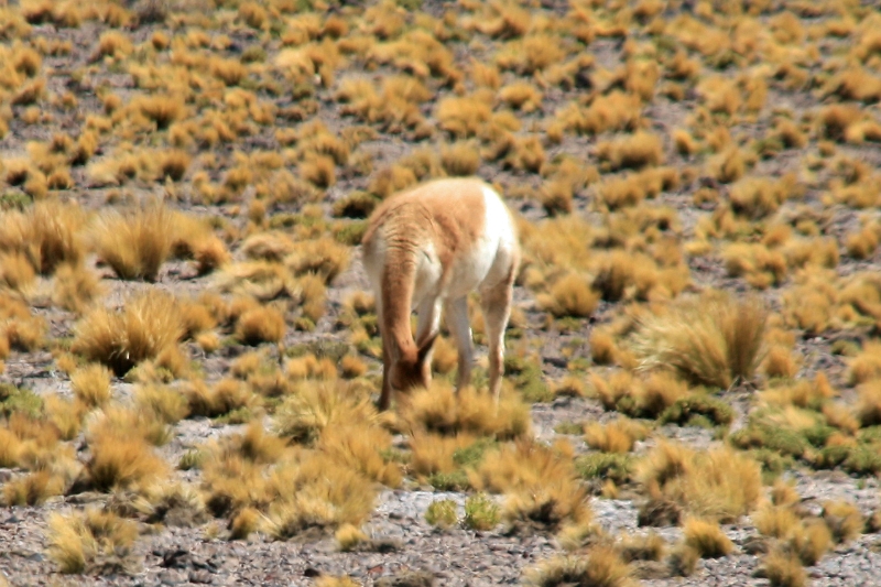 23_laguna_minique_097.jpg