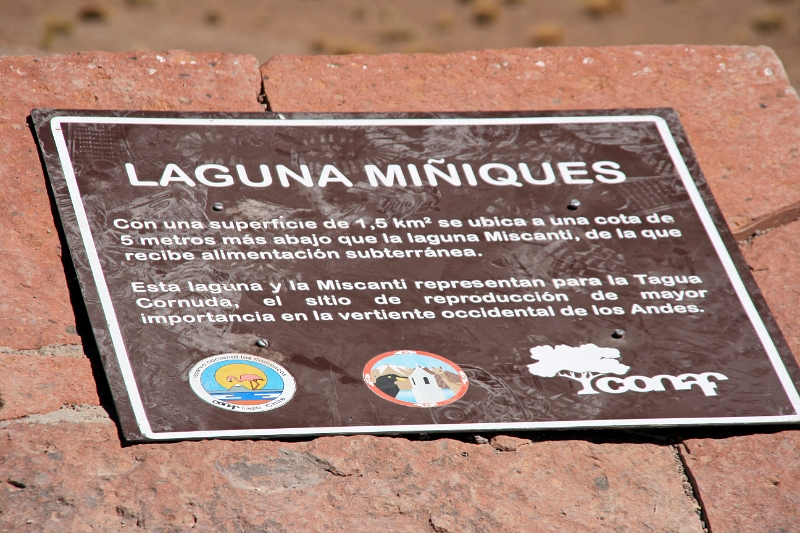 23_laguna_minique_101.jpg