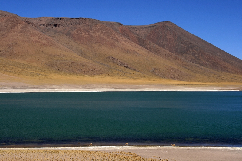 23_laguna_minique_105.jpg