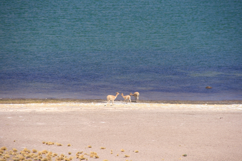 23_laguna_minique_109.jpg