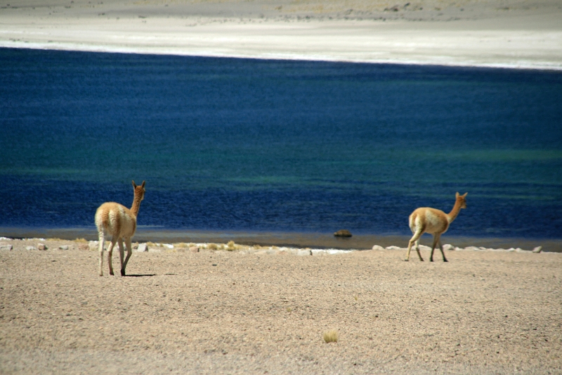 23_laguna_minique_112.jpg