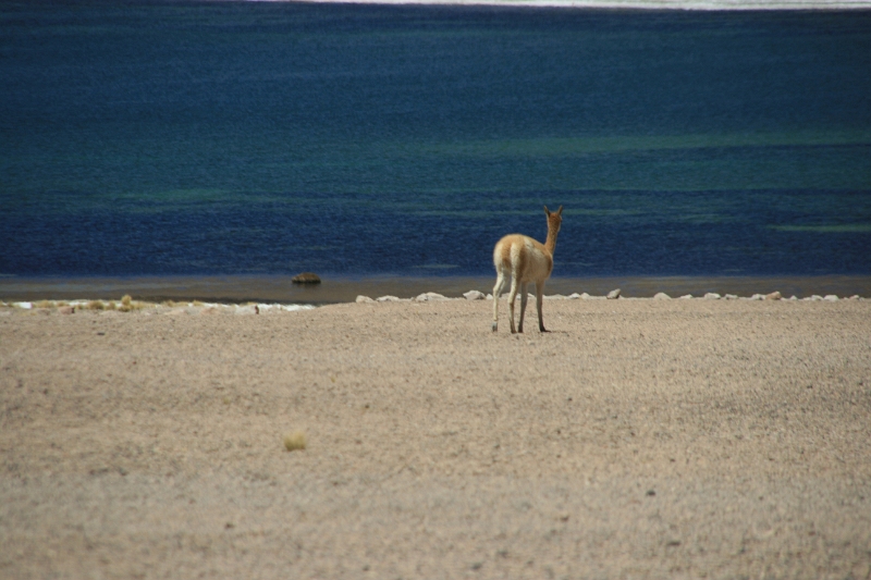 23_laguna_minique_113.jpg