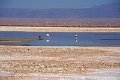 23_laguna_minique_002