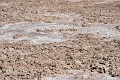 23_laguna_minique_003