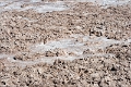 23_laguna_minique_004