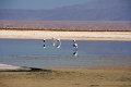 23_laguna_minique_005