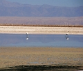 23_laguna_minique_007