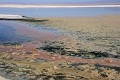 23_laguna_minique_008