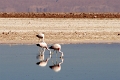23_laguna_minique_009