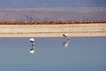 23_laguna_minique_010