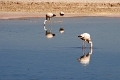 23_laguna_minique_013