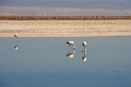 23_laguna_minique_015