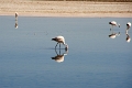 23_laguna_minique_019