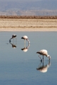 23_laguna_minique_021