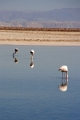 23_laguna_minique_022