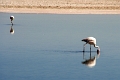 23_laguna_minique_024