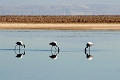 23_laguna_minique_025