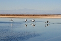23_laguna_minique_027