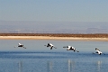23_laguna_minique_029