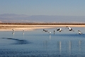 23_laguna_minique_030