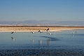 23_laguna_minique_031