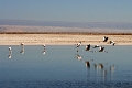 23_laguna_minique_032