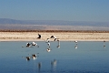 23_laguna_minique_033