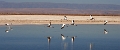 23_laguna_minique_034