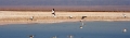 23_laguna_minique_035