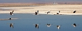23_laguna_minique_036