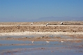 23_laguna_minique_037