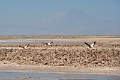 23_laguna_minique_038