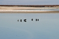 23_laguna_minique_040